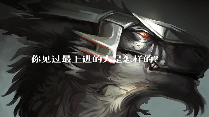 你见过最上进的人是怎样的?