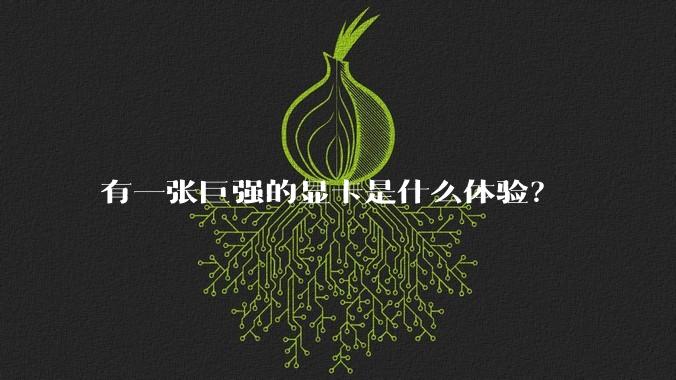 有一张巨强的显卡是什么体验?