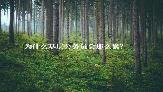 为什么基层公务员会那么累?