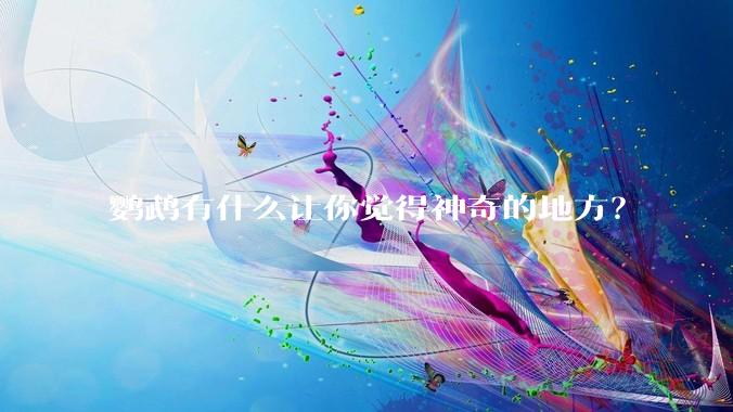 鹦鹉有什么让你觉得神奇的地方?