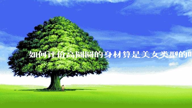 如何评价高圆圆的身材算是美女类型的吗?