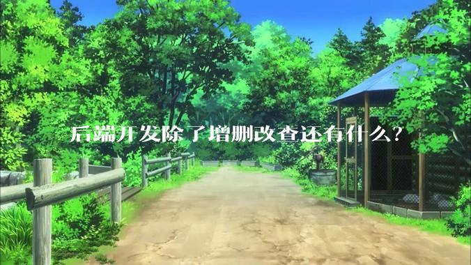 后端开发除了增删改查还有什么?