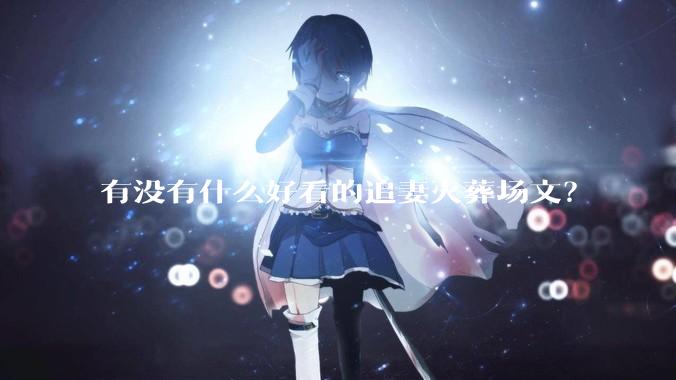 有没有什么好看的追妻火葬场文?