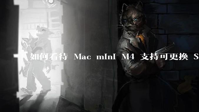 如何看待 Mac mini M4 支持可更换 SSD?