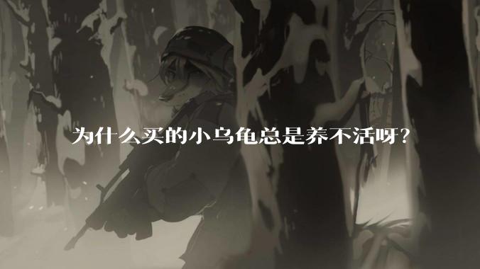 为什么买的小乌龟总是养不活呀?