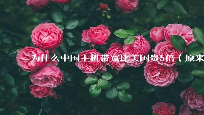 为什么中国主机带宽比美国贵5倍(原来错误的10000倍),比如阿里云?