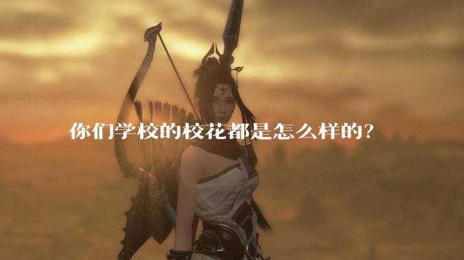 你们学校的校花都是怎么样的?