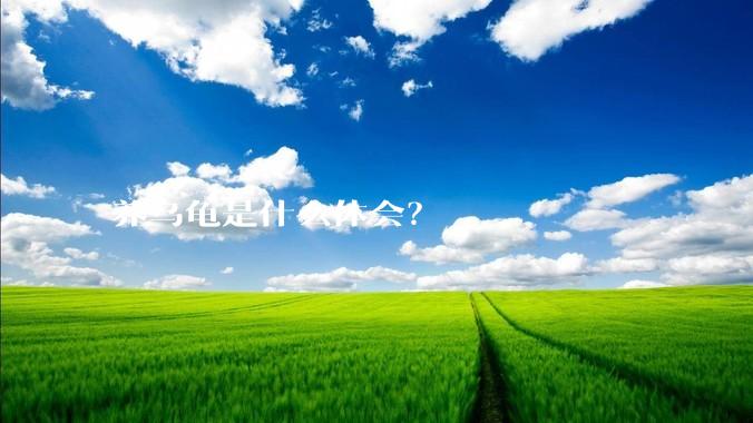 养乌龟是什么体会?