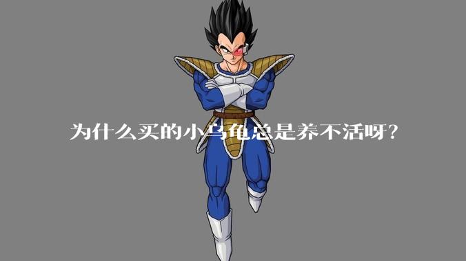 为什么买的小乌龟总是养不活呀?