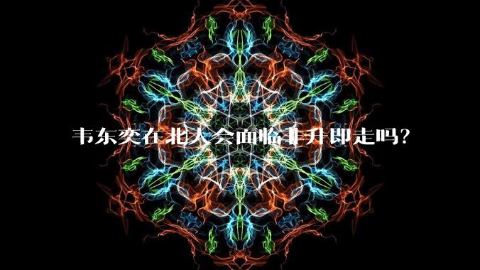 韦东奕在北大会面临非升即走吗?