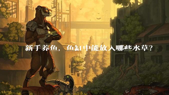 新手养鱼,鱼缸中能放入哪些水草?