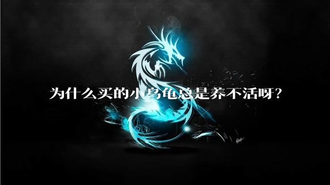 为什么买的小乌龟总是养不活呀?