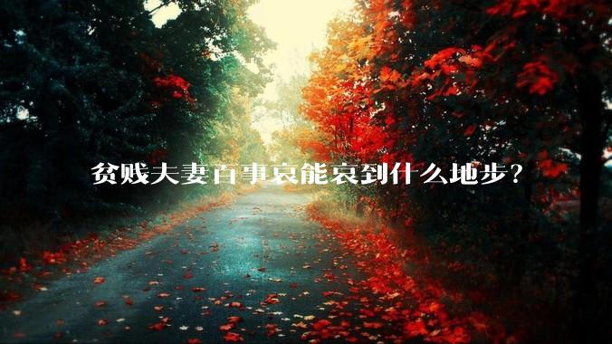 贫贱夫妻百事哀能哀到什么地步?