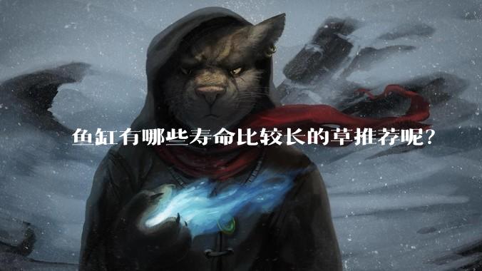 鱼缸有哪些寿命比较长的草推荐呢?