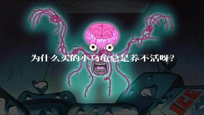 为什么买的小乌龟总是养不活呀?