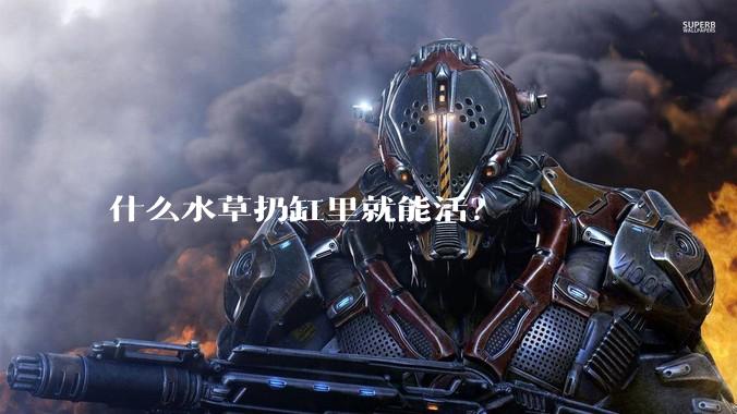 什么水草扔缸里就能活?