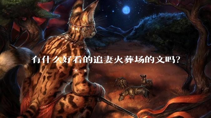 有什么好看的追妻火葬场的文吗?