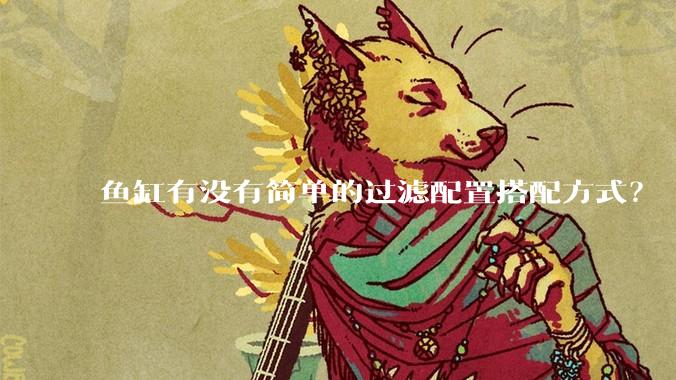 鱼缸有没有简单的过滤配置搭配方式?