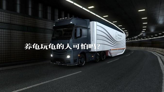 养龟玩龟的人可怕吗?