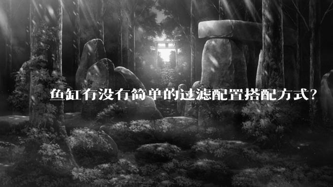 鱼缸有没有简单的过滤配置搭配方式?