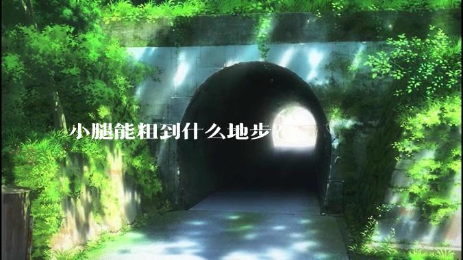 小腿能粗到什么地步?