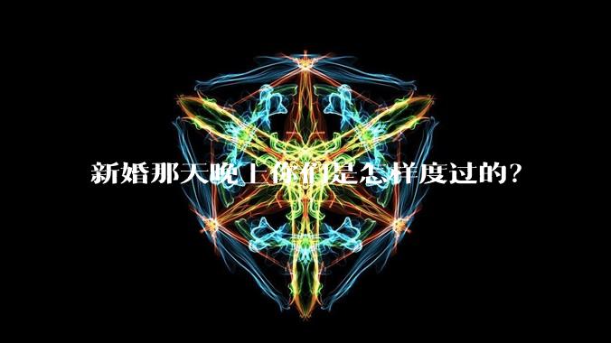 新婚那天晚上你们是怎样度过的?