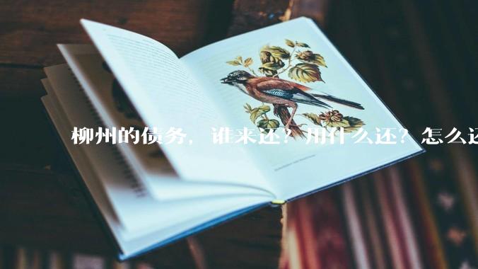 柳州的债务,谁来还?用什么还?怎么还?