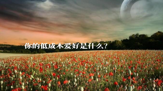 你的低成本爱好是什么?
