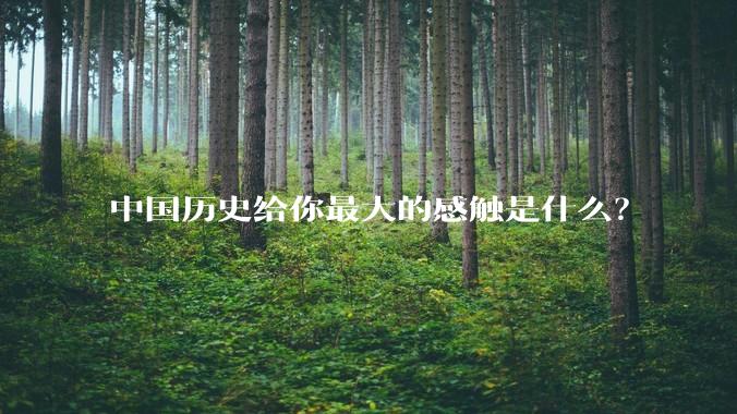 中国历史给你最大的感触是什么?