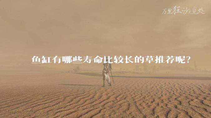 鱼缸有哪些寿命比较长的草推荐呢?