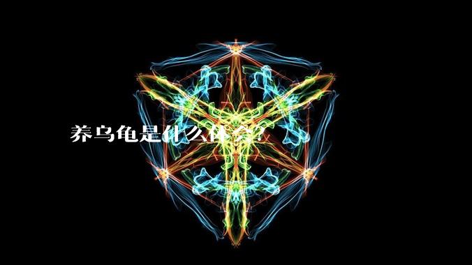 养乌龟是什么体会?