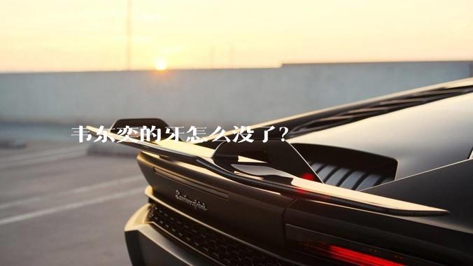 韦东奕的牙怎么没了?