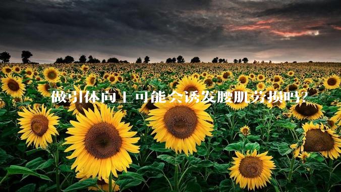 做引体向上可能会诱发腰肌劳损吗?