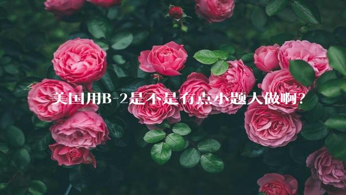 美国用B-2是不是有点小题大做啊?