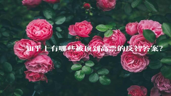 知乎上有哪些被顶到高票的反智答案?