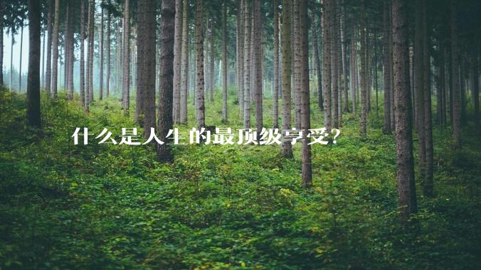 什么是人生的最顶级享受?