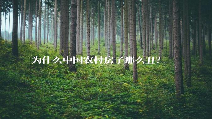 为什么中国农村房子那么丑?