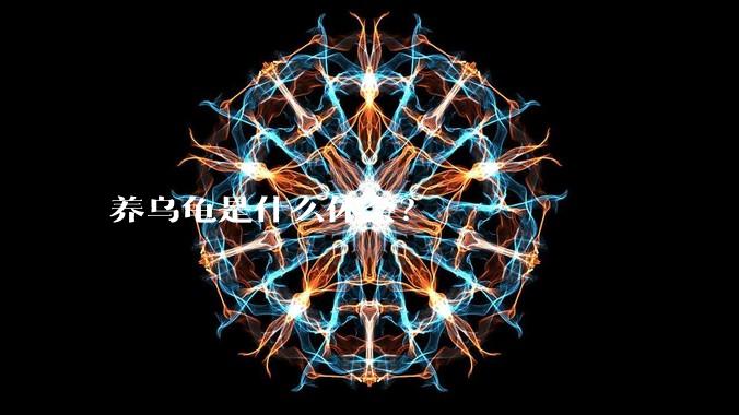 养乌龟是什么体会?