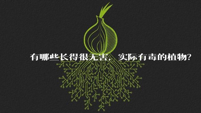 有哪些长得很无害,实际有毒的植物?