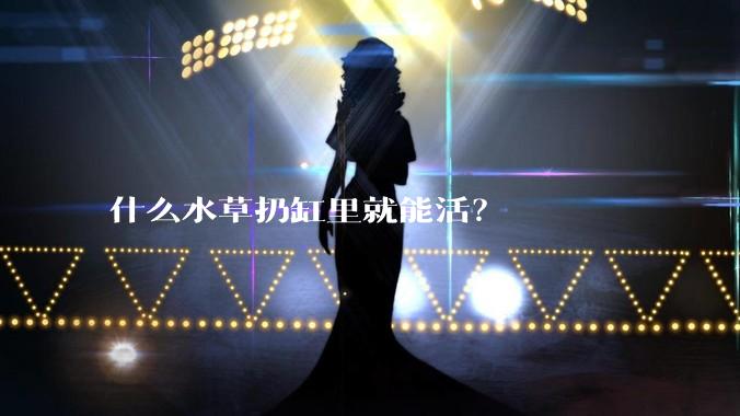 什么水草扔缸里就能活?
