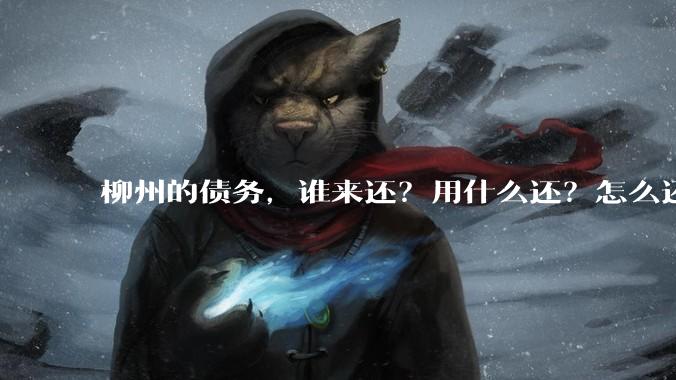 柳州的债务,谁来还?用什么还?怎么还?