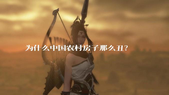 为什么中国农村房子那么丑?