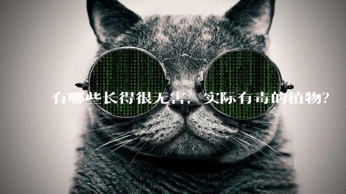 有哪些长得很无害,实际有毒的植物?
