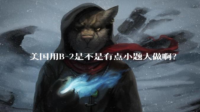 美国用B-2是不是有点小题大做啊?