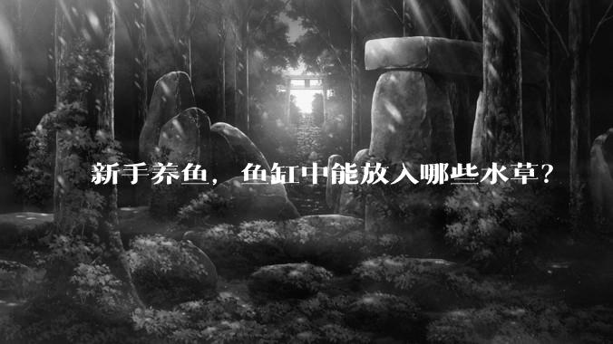 新手养鱼,鱼缸中能放入哪些水草?