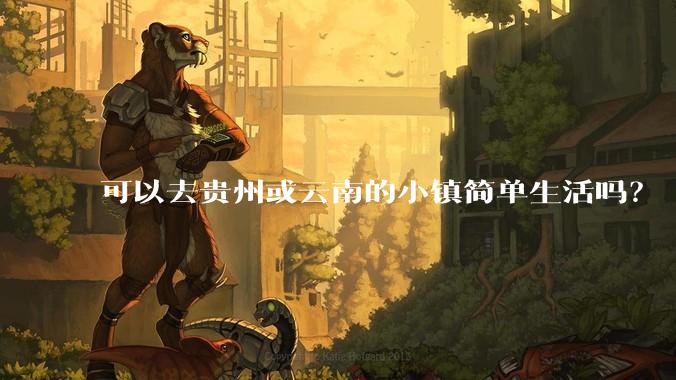 可以去贵州或云南的小镇简单生活吗?