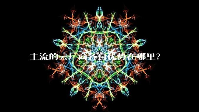 主流的云厂商各自优势在哪里?