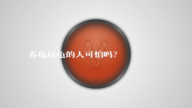 养龟玩龟的人可怕吗?