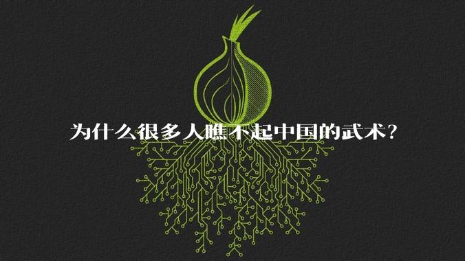 为什么很多人瞧不起中国的武术?