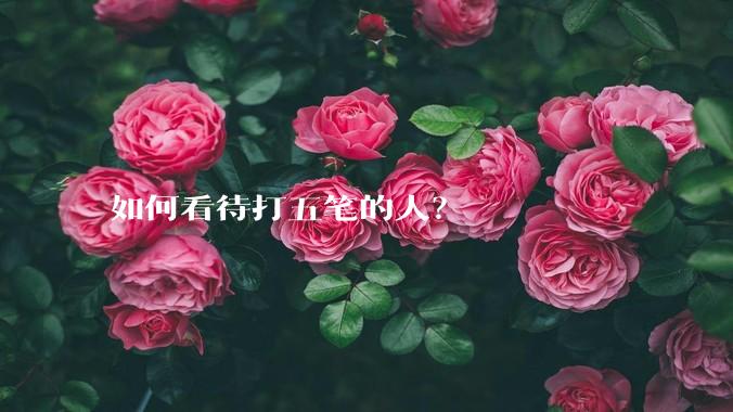 如何看待打五笔的人?